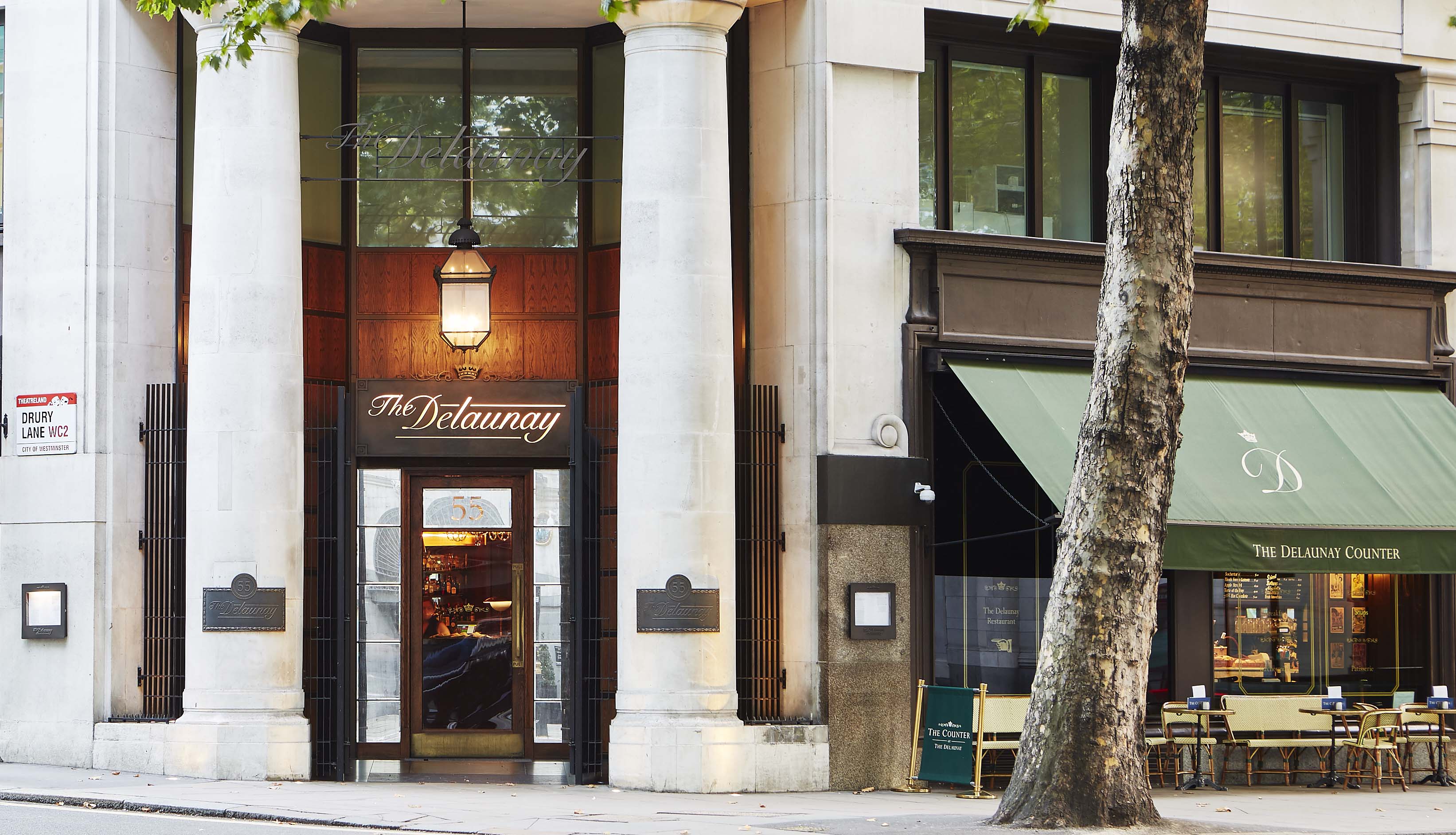 The Delaunay - image 7