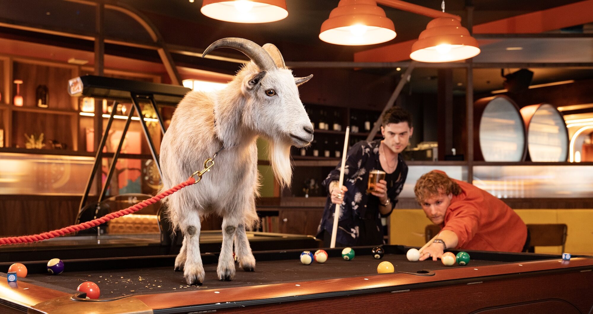 The Lucky Goat - image 6