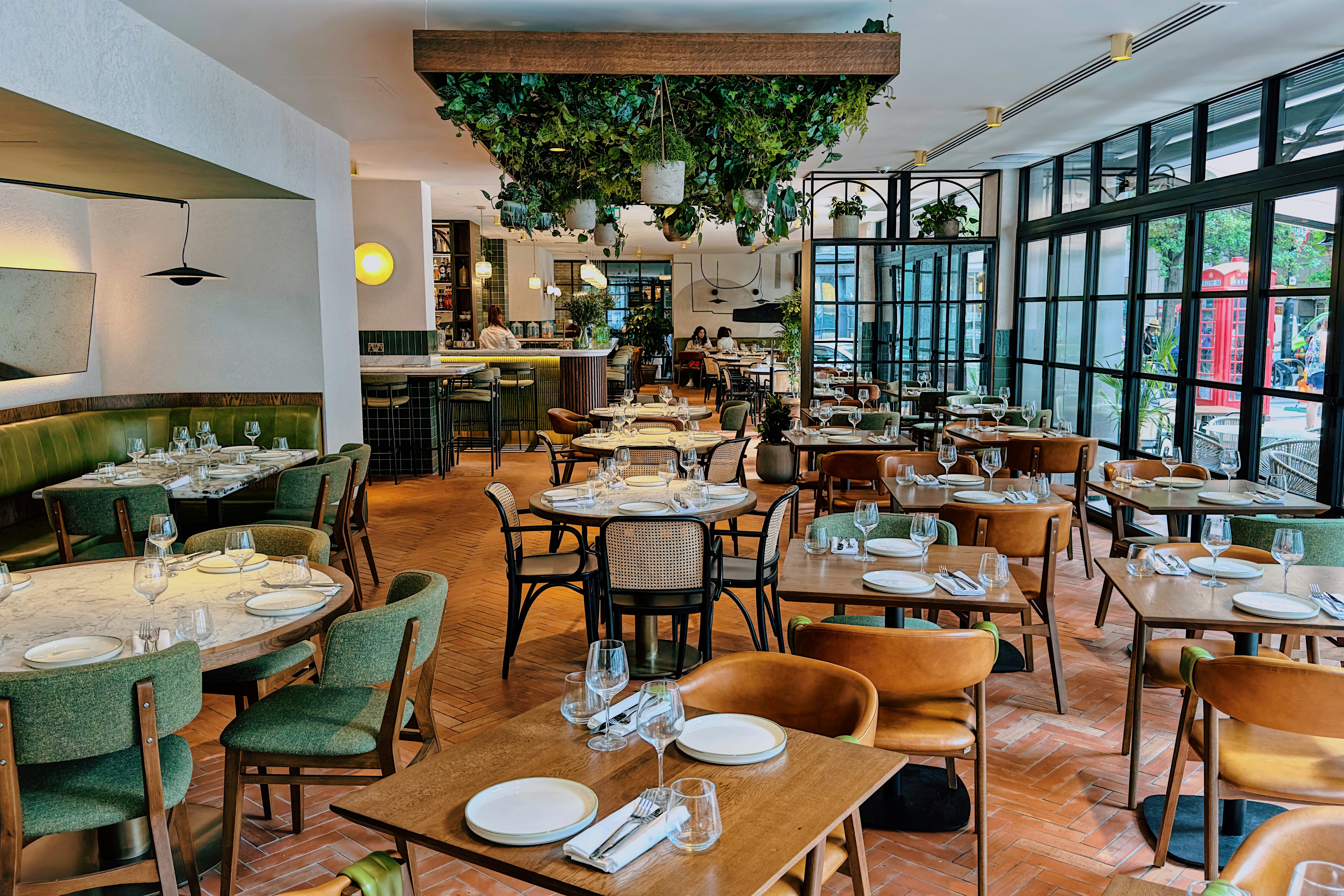 Olea Social - image 2