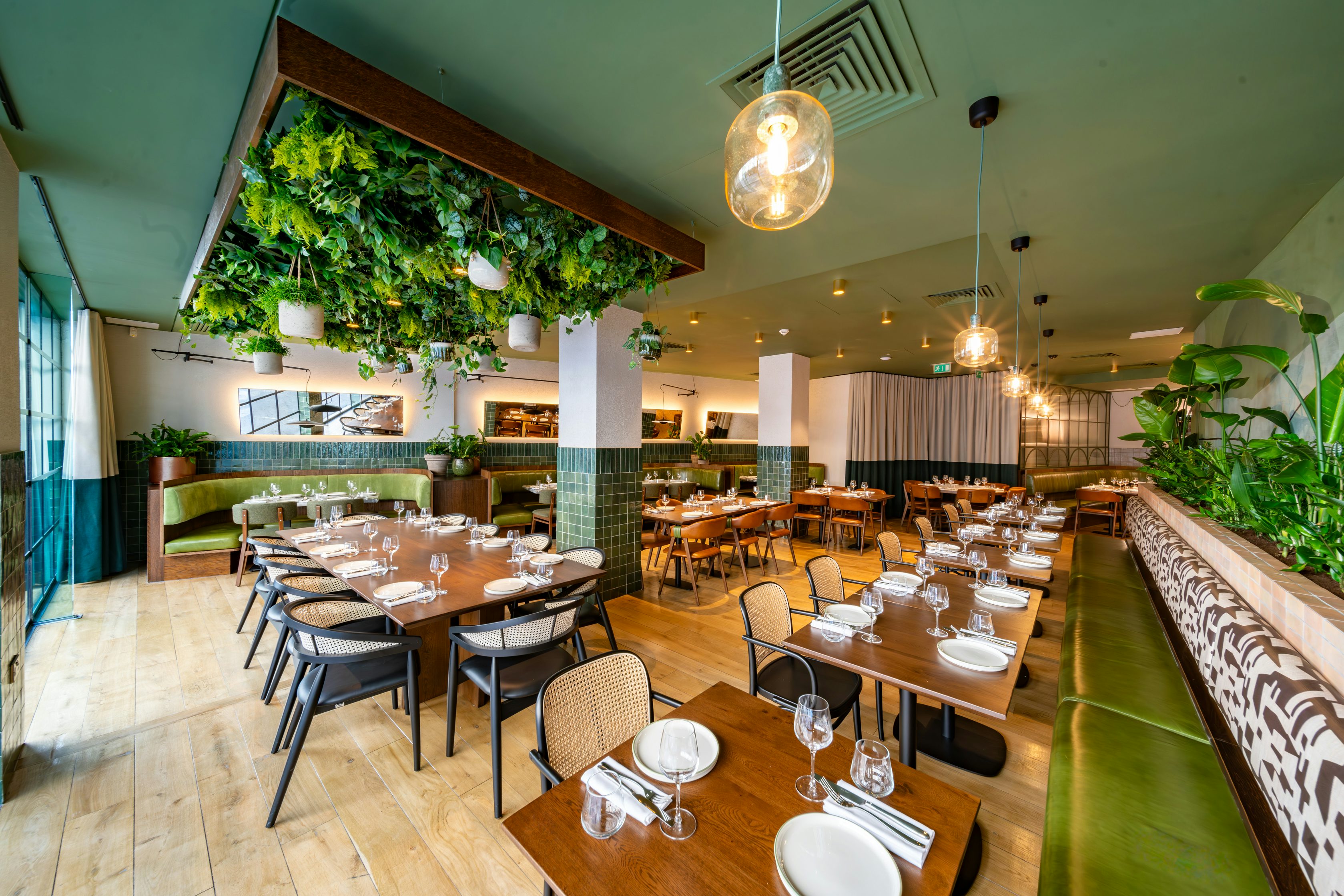 Olea Social - image 1