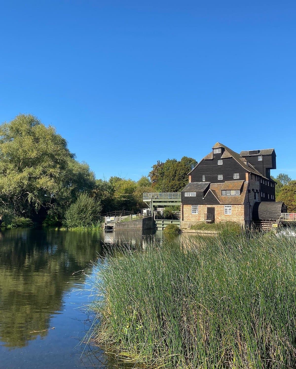 Houghton Mill and Waterclose Meadows - image 3
