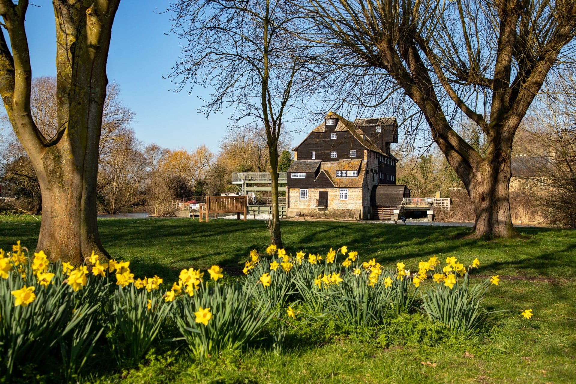 Houghton Mill and Waterclose Meadows - image 2