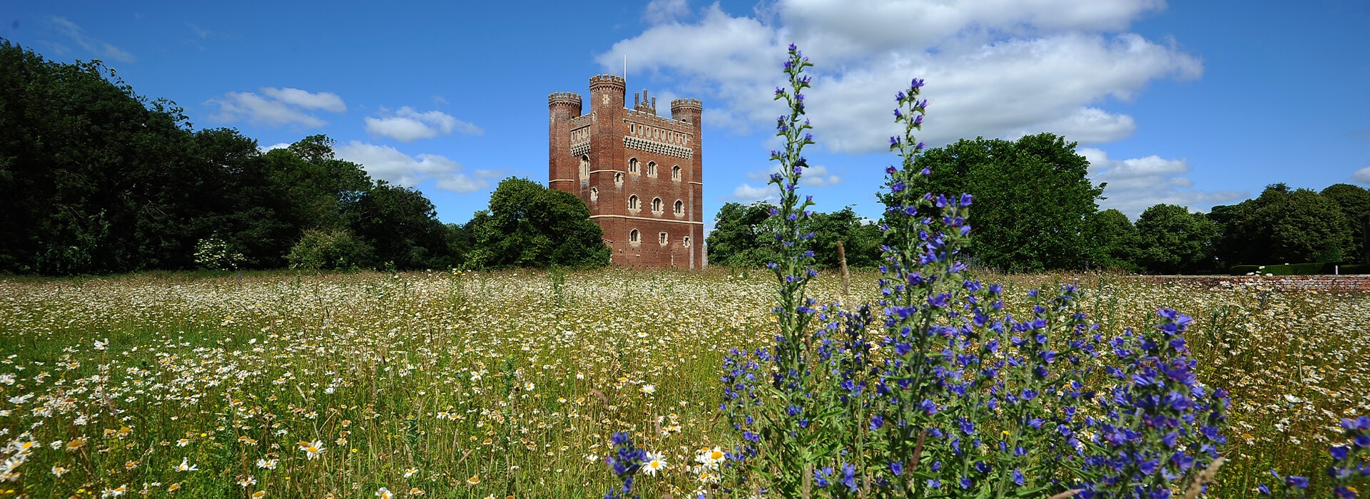 Tattershall Castle - image 3