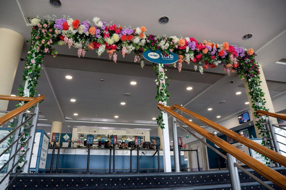 York Racecourse - image 3