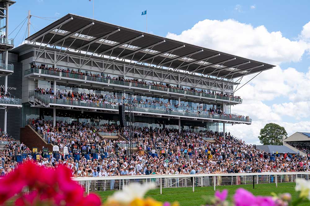 York Racecourse - image 1