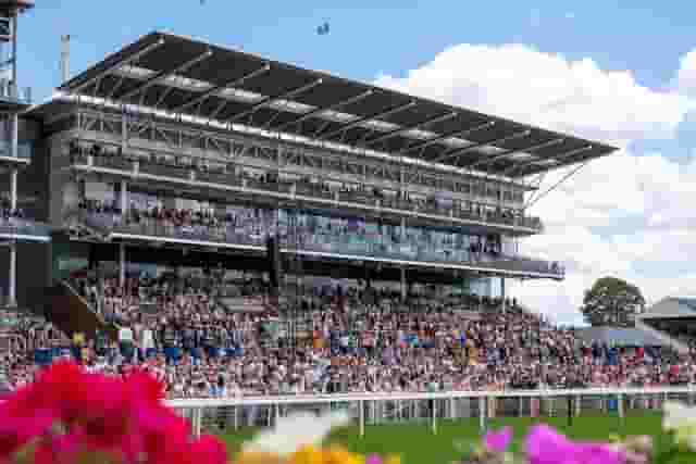 York Racecourse