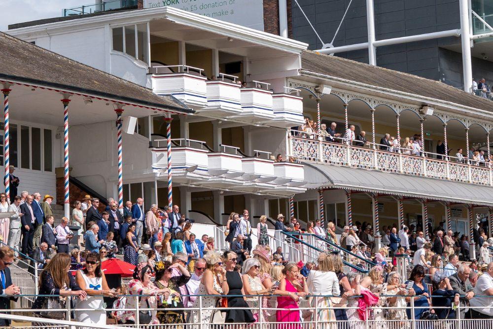 York Racecourse - image 4