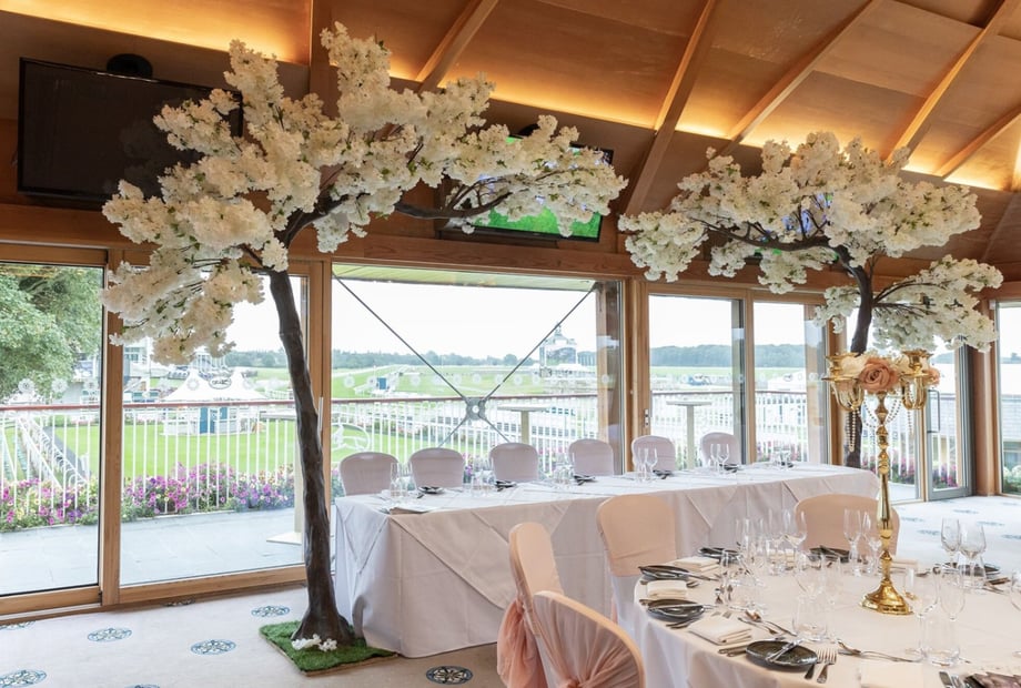 York Racecourse - image 4