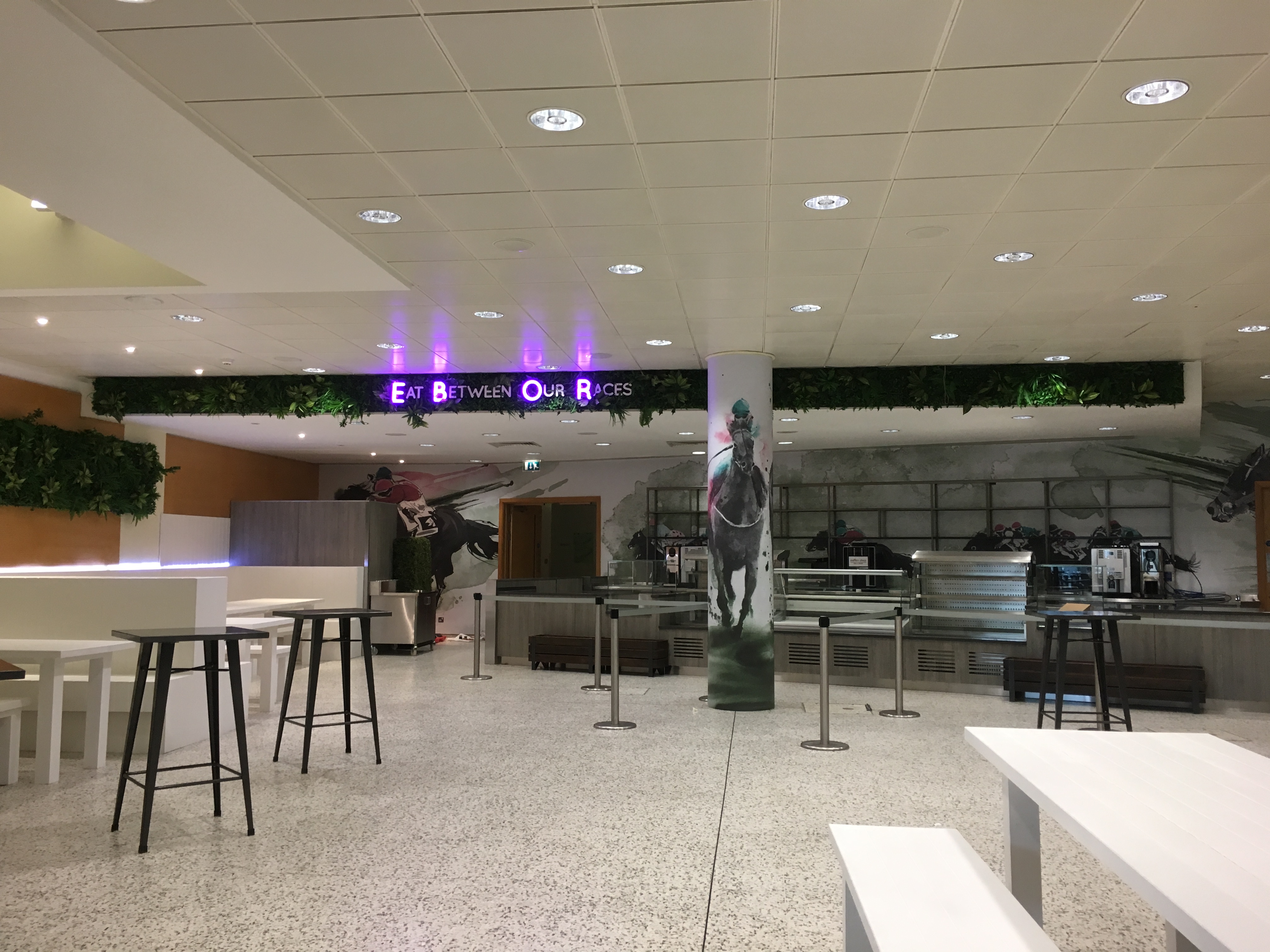 York Racecourse - image 3