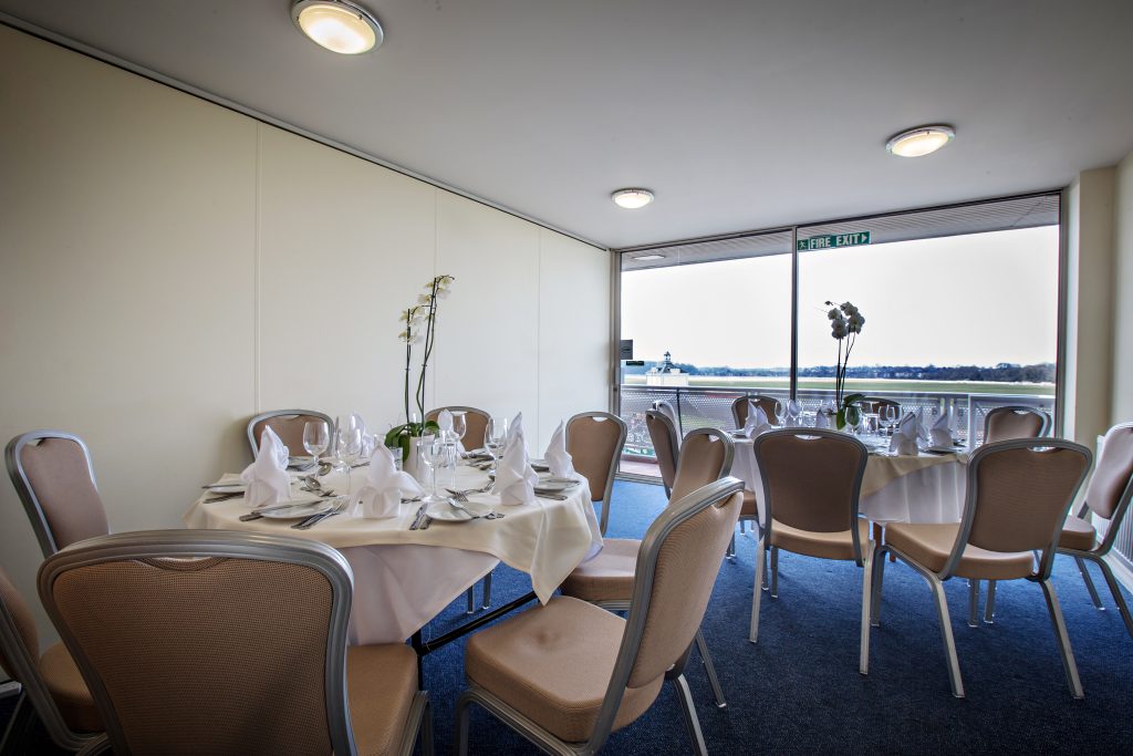 York Racecourse - image 3