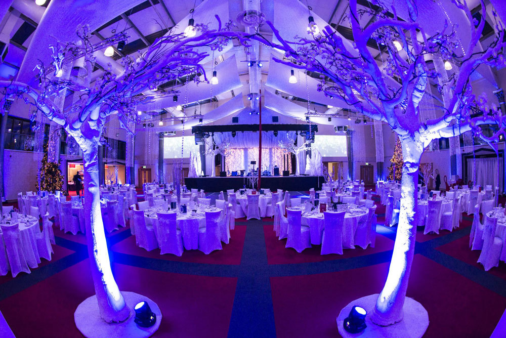 Dallas Burston Polo Club - image 2