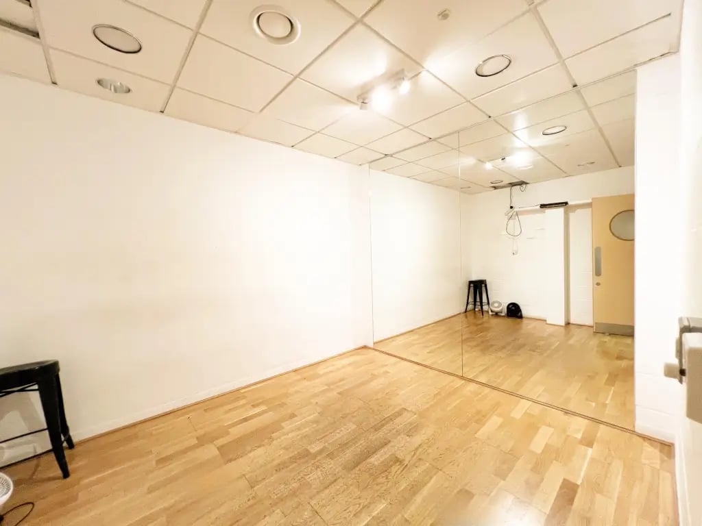 Vincent Dance Theatre - image 3