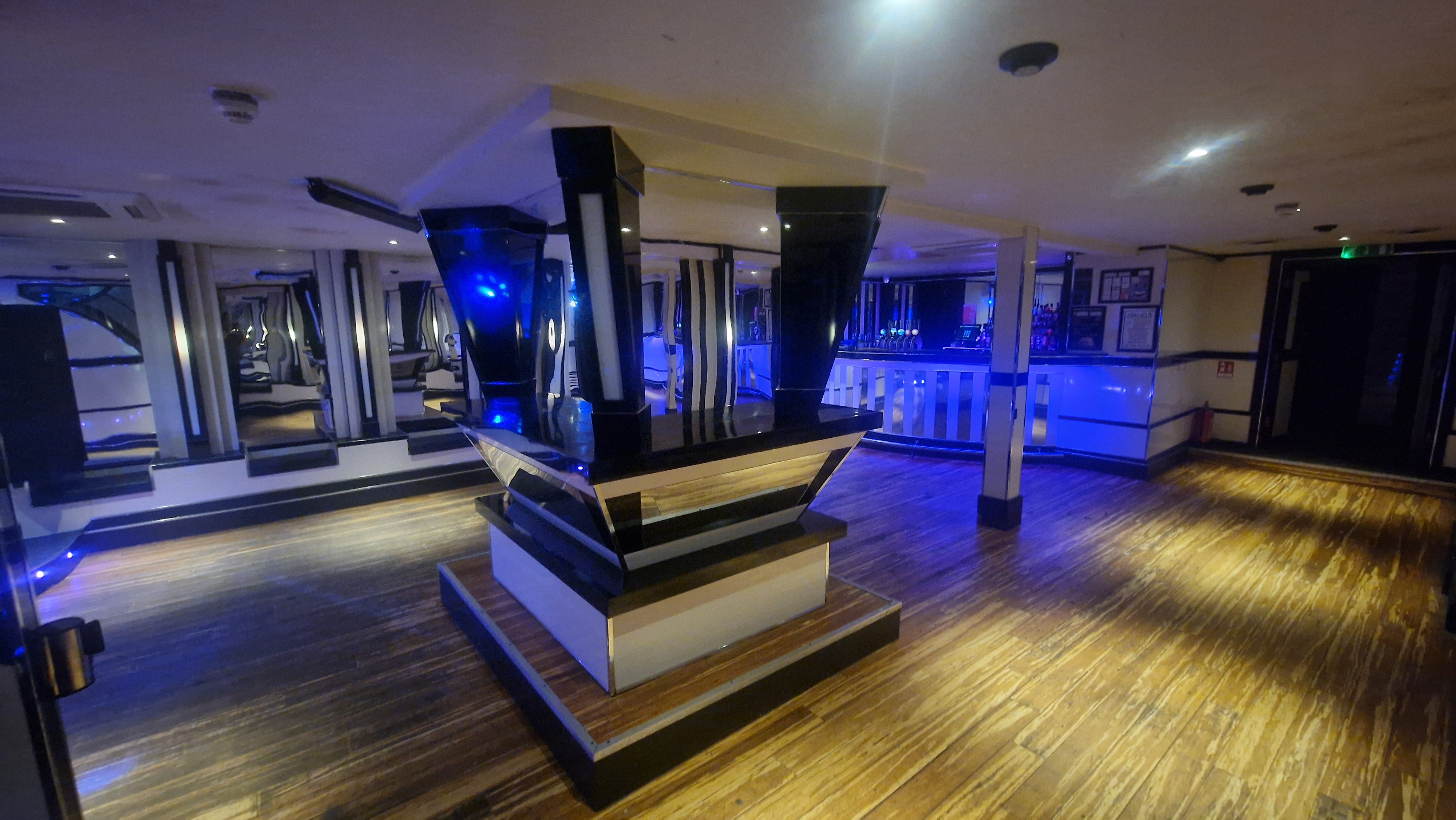 The White Swan - image 2