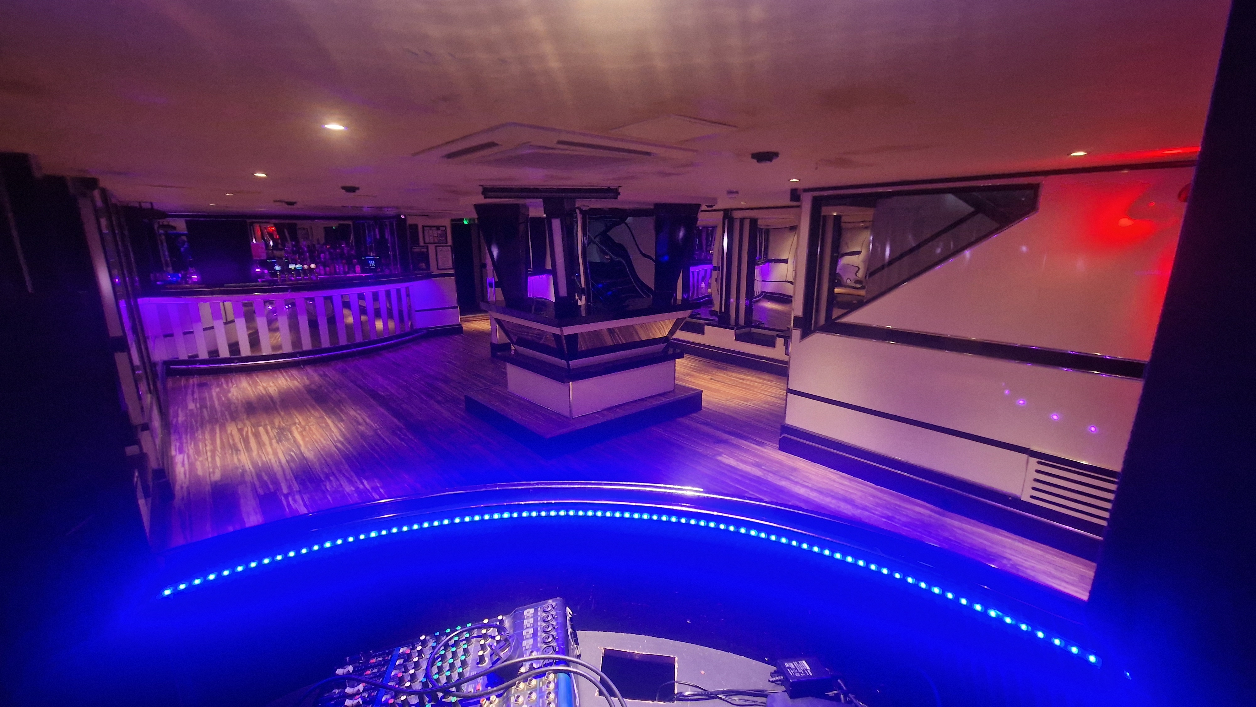 The White Swan - image 4