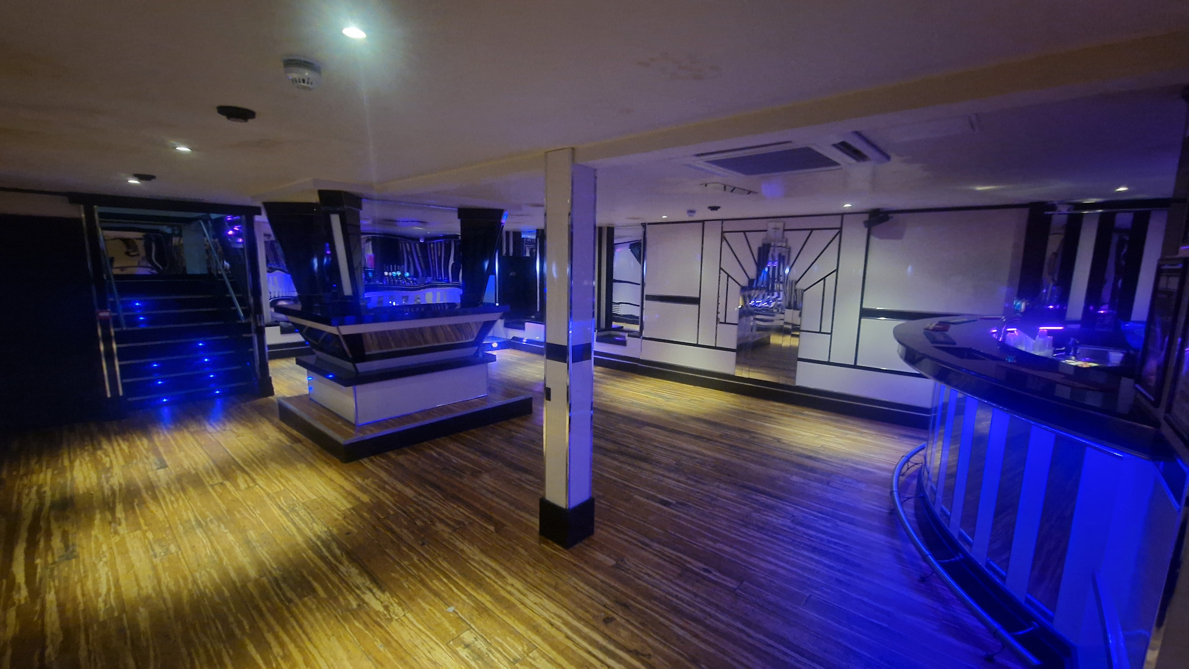 The White Swan - image 3