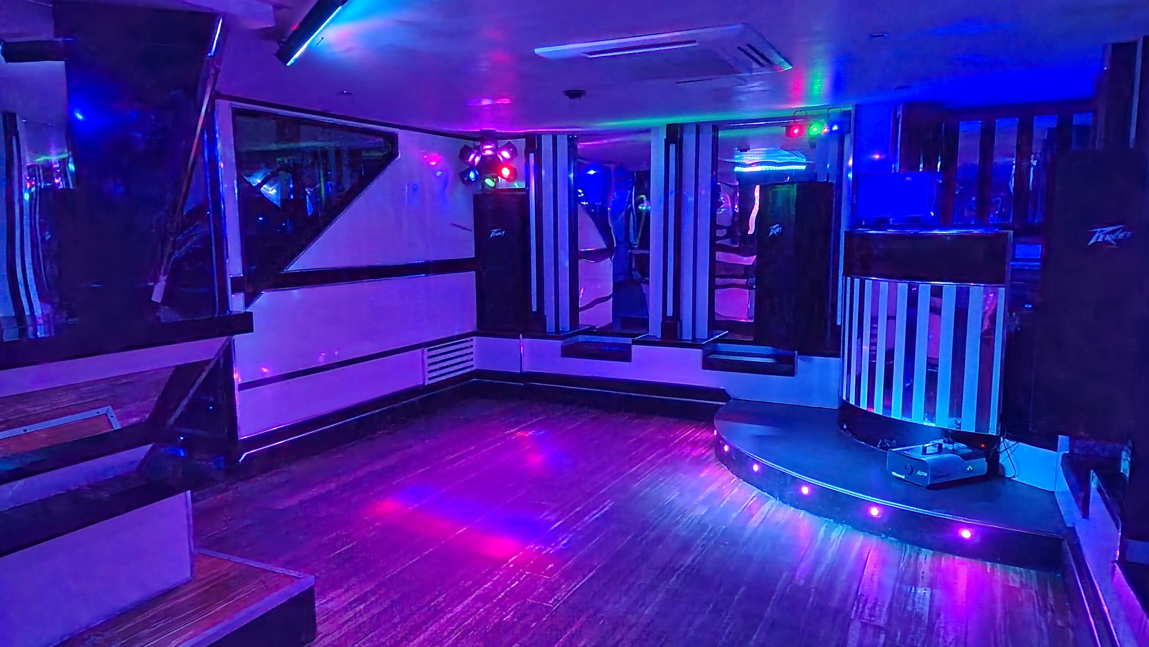 The White Swan - image 6