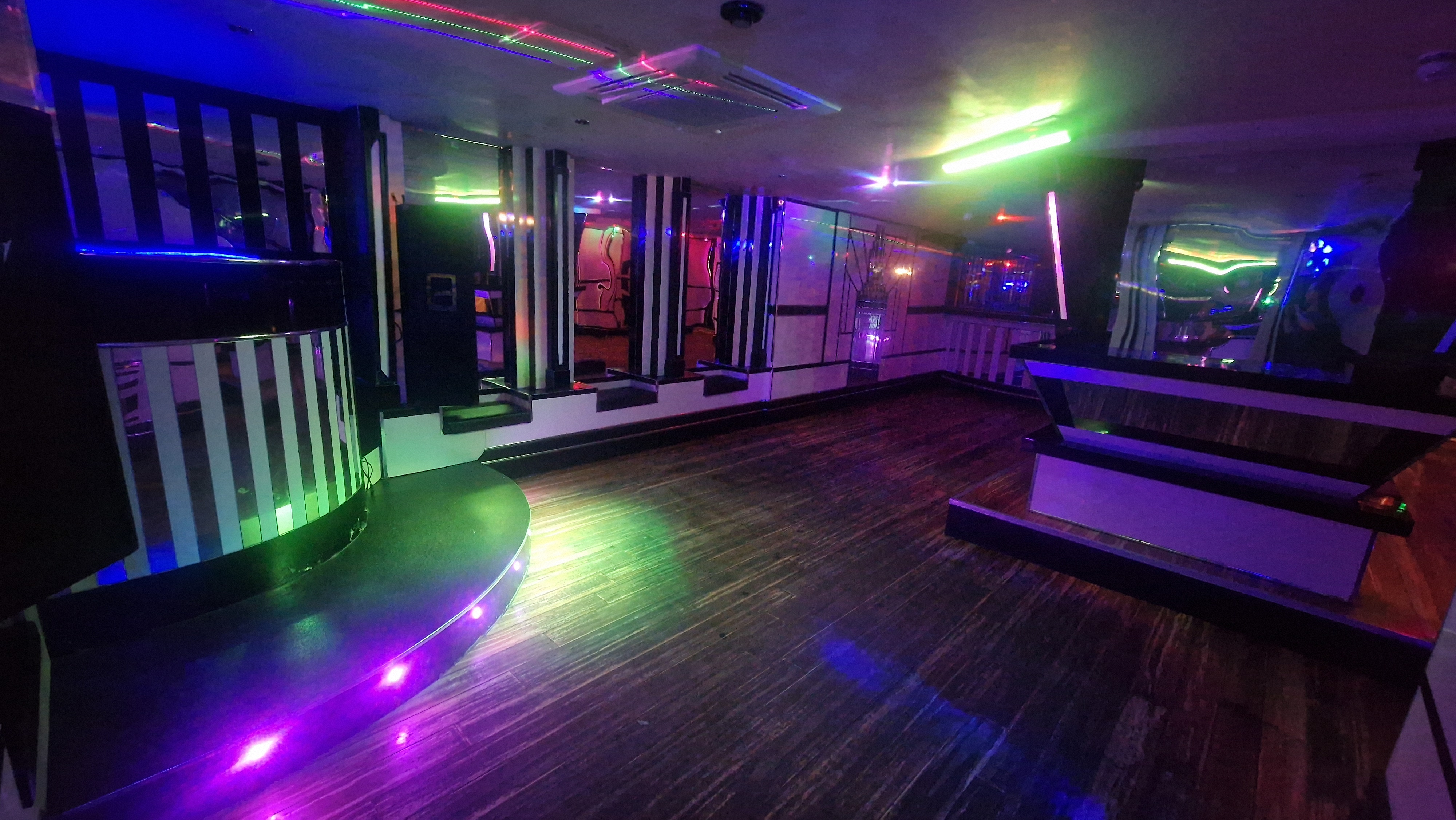 The White Swan - image 7