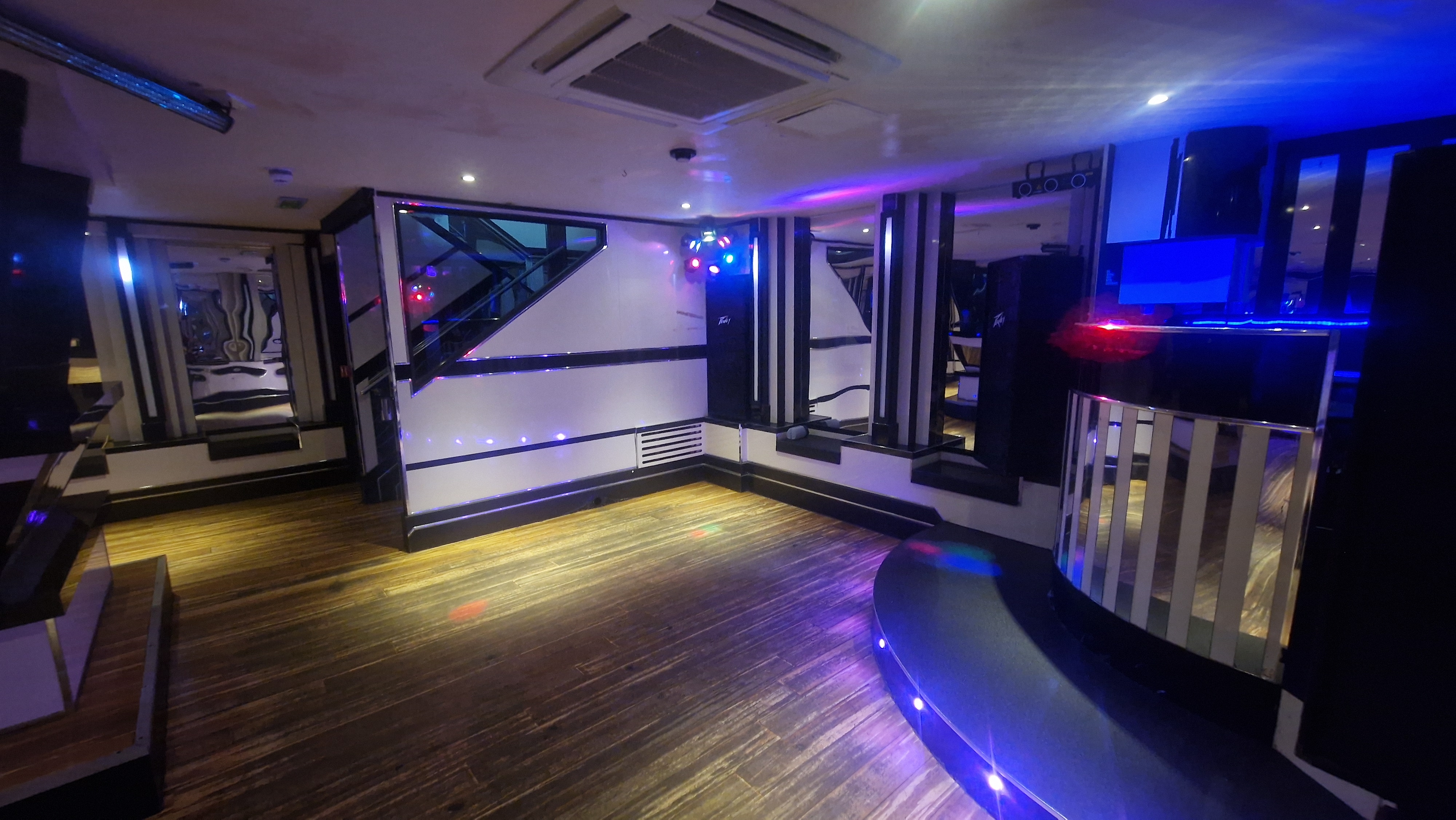 The White Swan - image 5