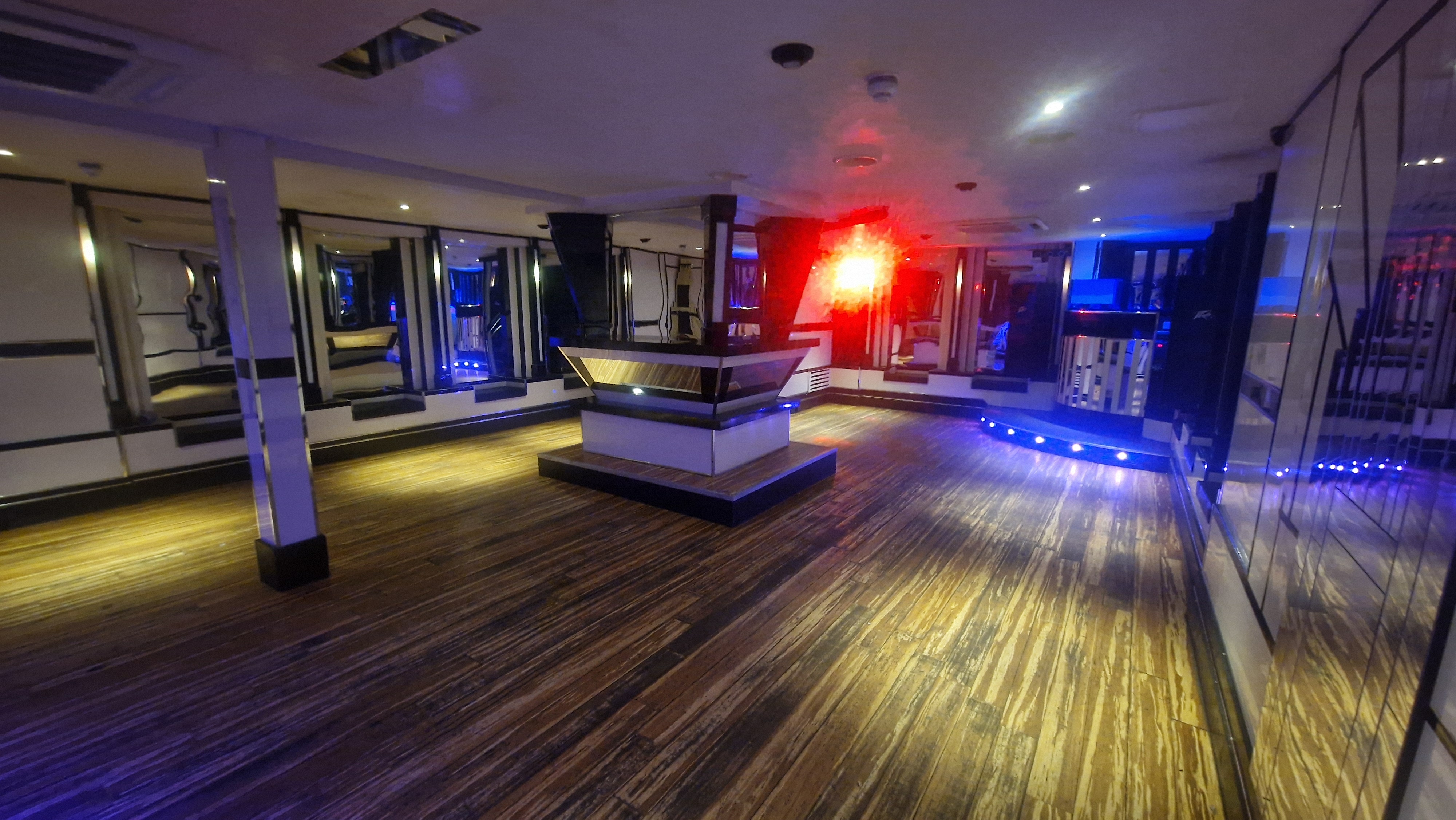 The White Swan - image 1