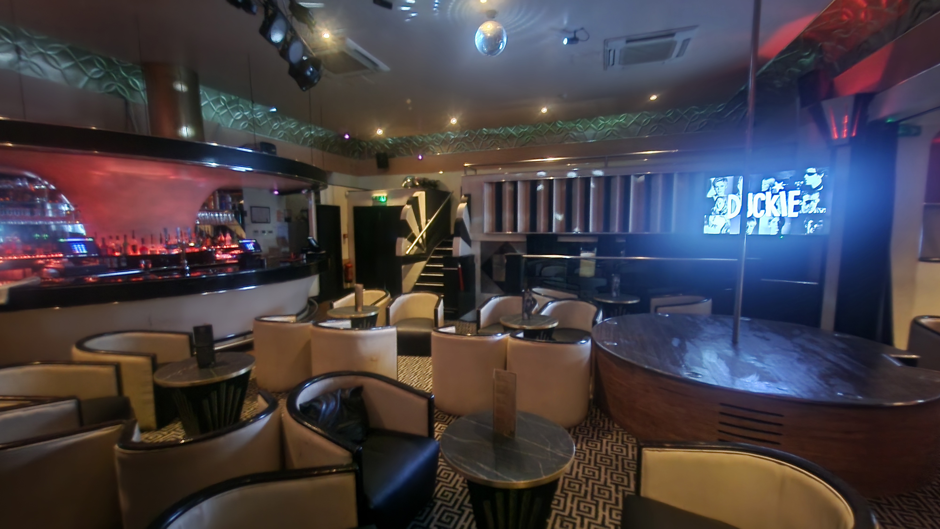 The White Swan - image 5