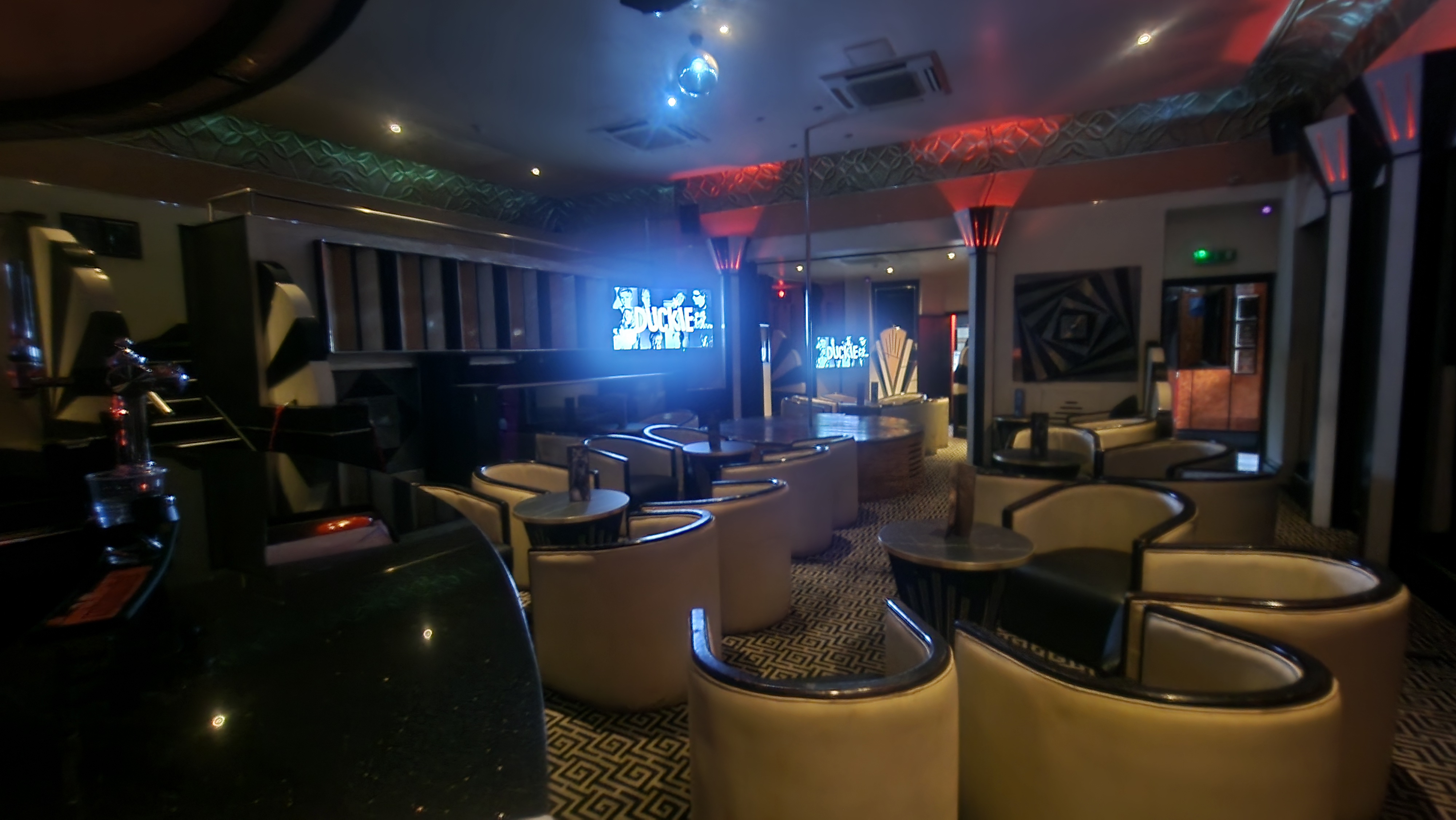 The White Swan - image 4