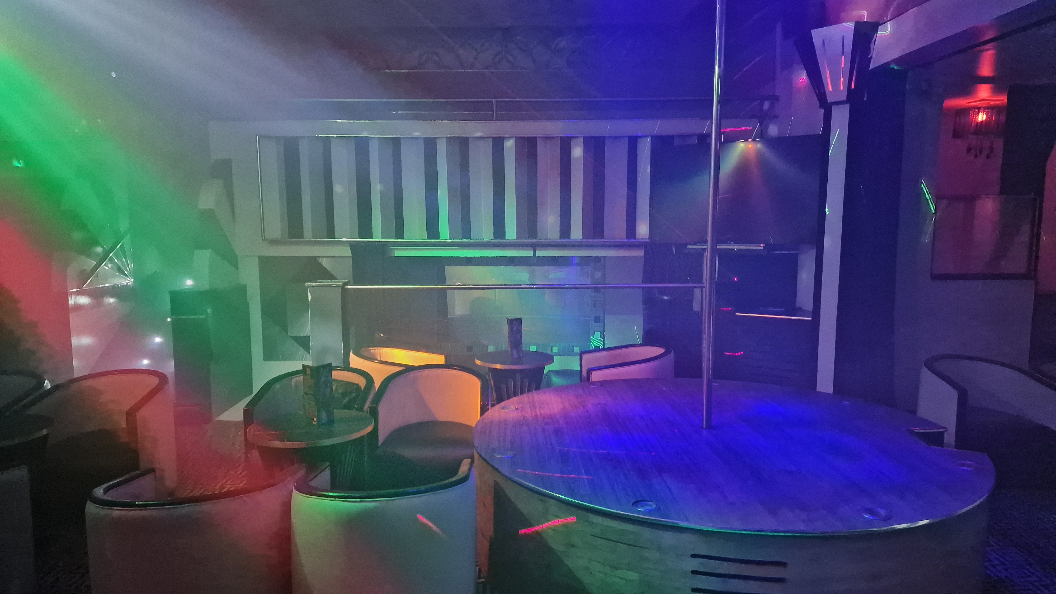 The White Swan - image 7