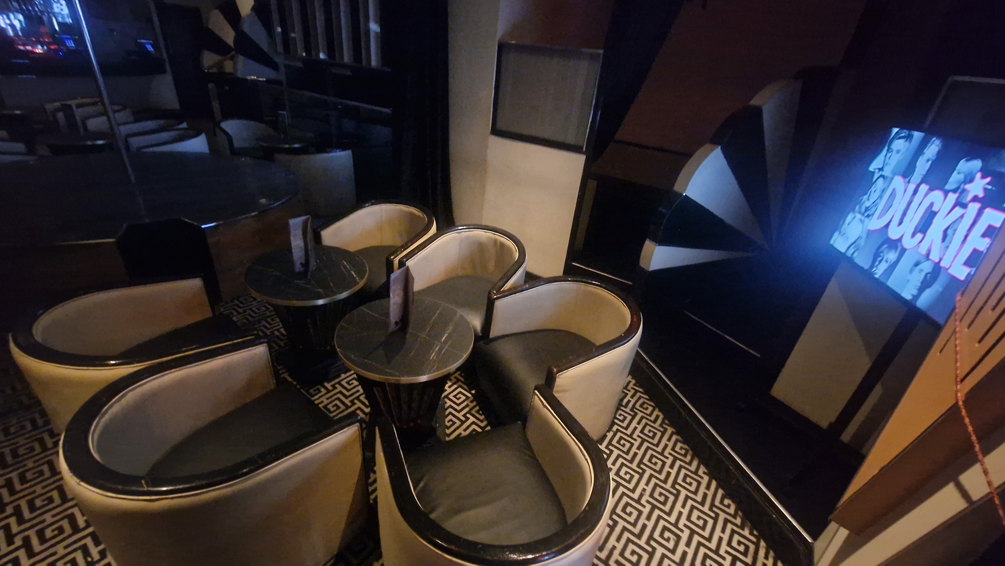 The White Swan - image 2