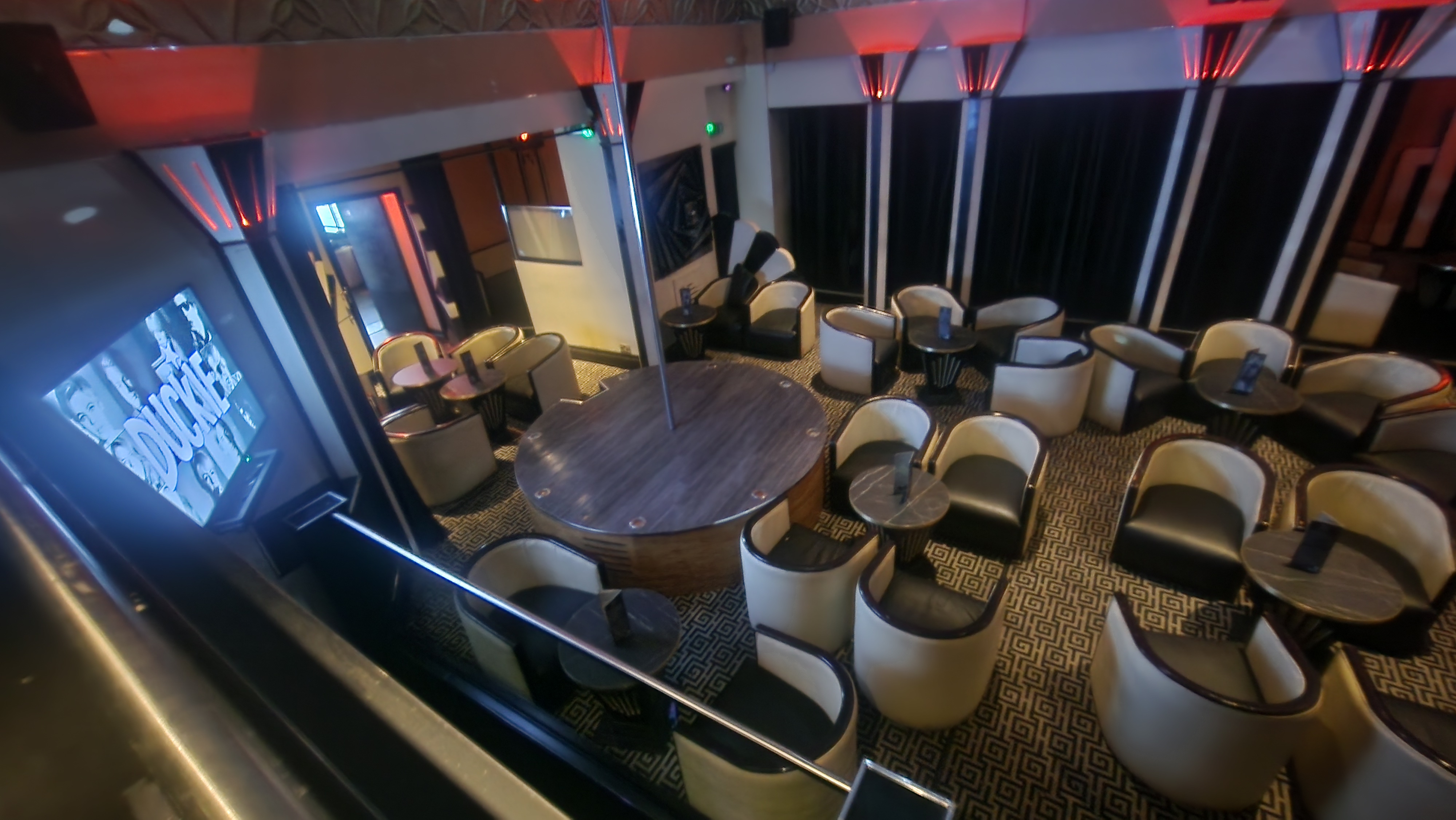 The White Swan - image 3