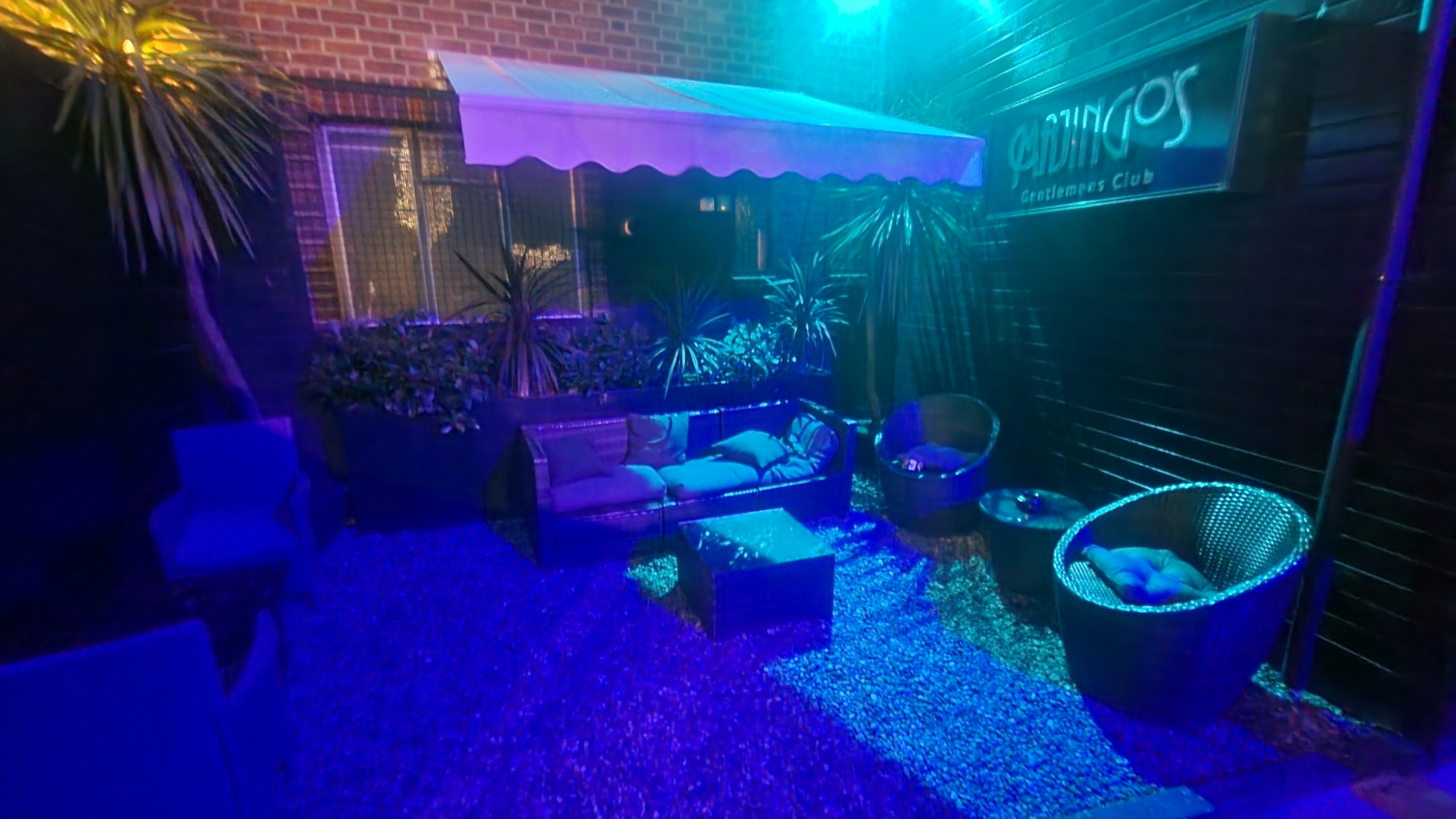 The White Swan - image 10