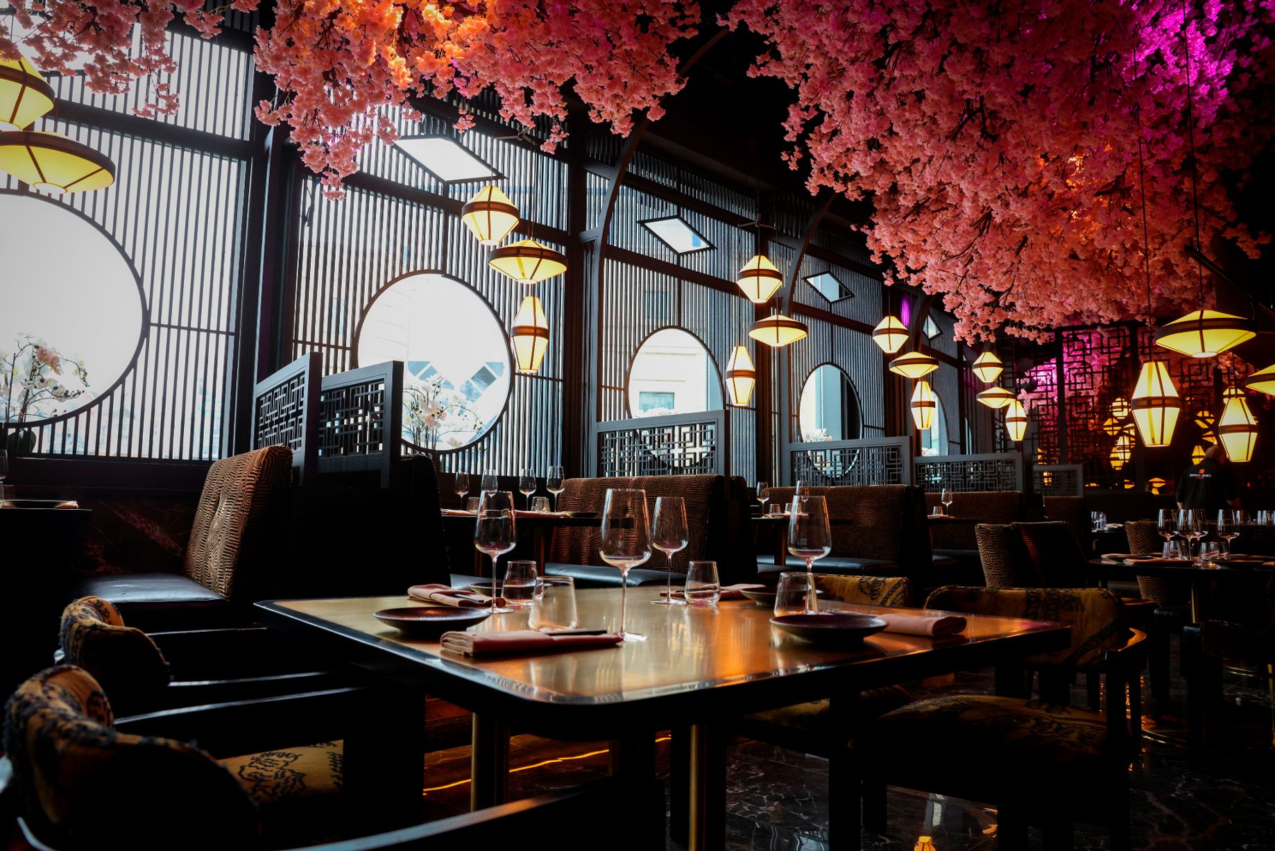Nōshi Restaurants - image 5