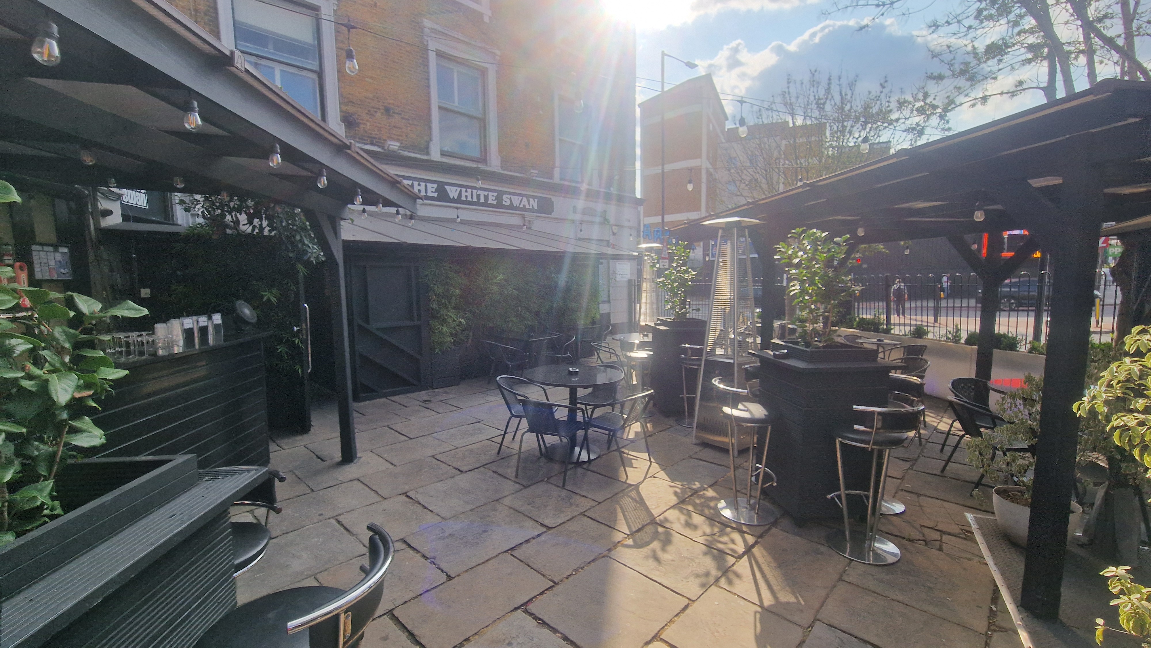 The White Swan - image 4