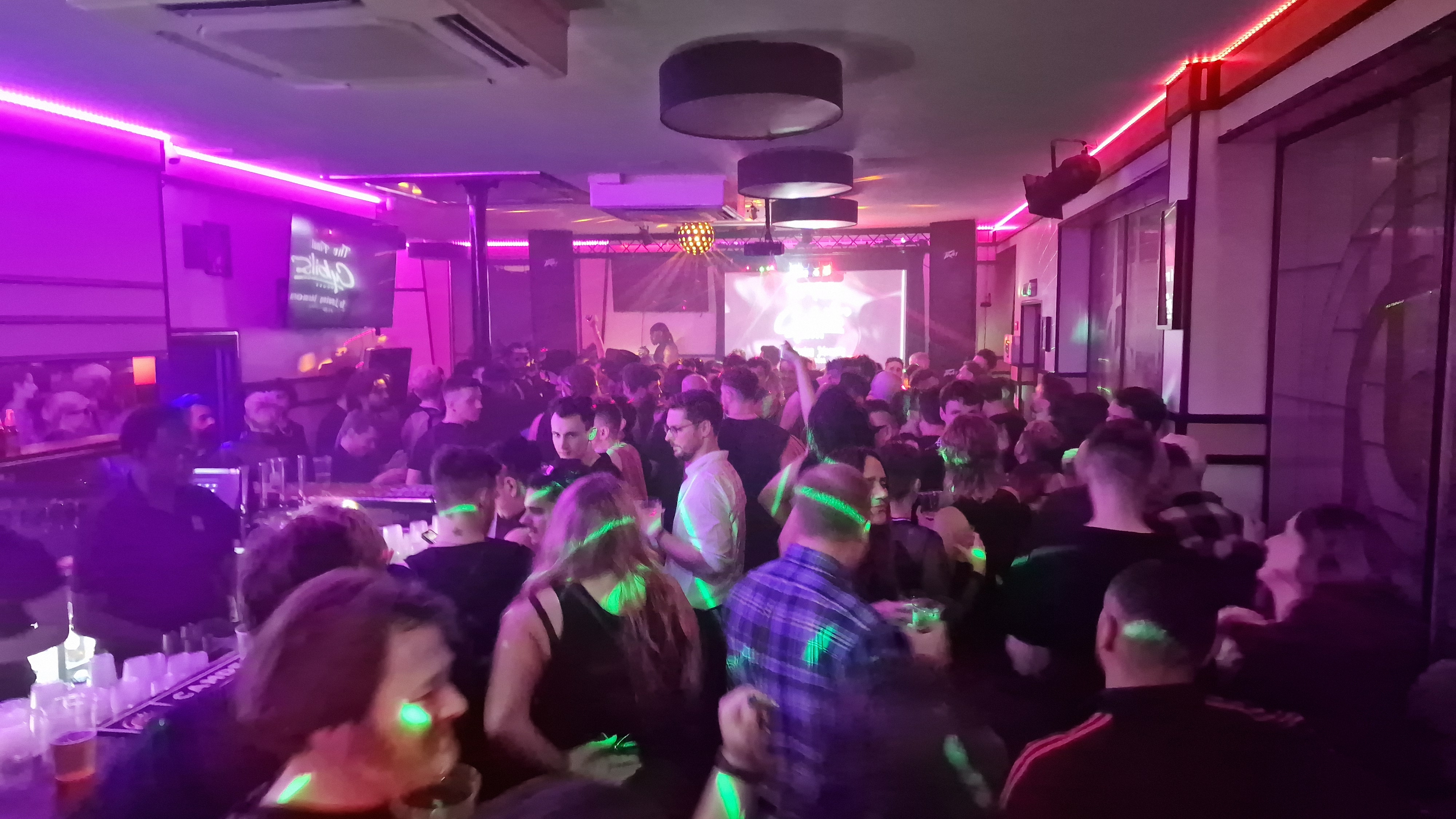 The White Swan - image 8