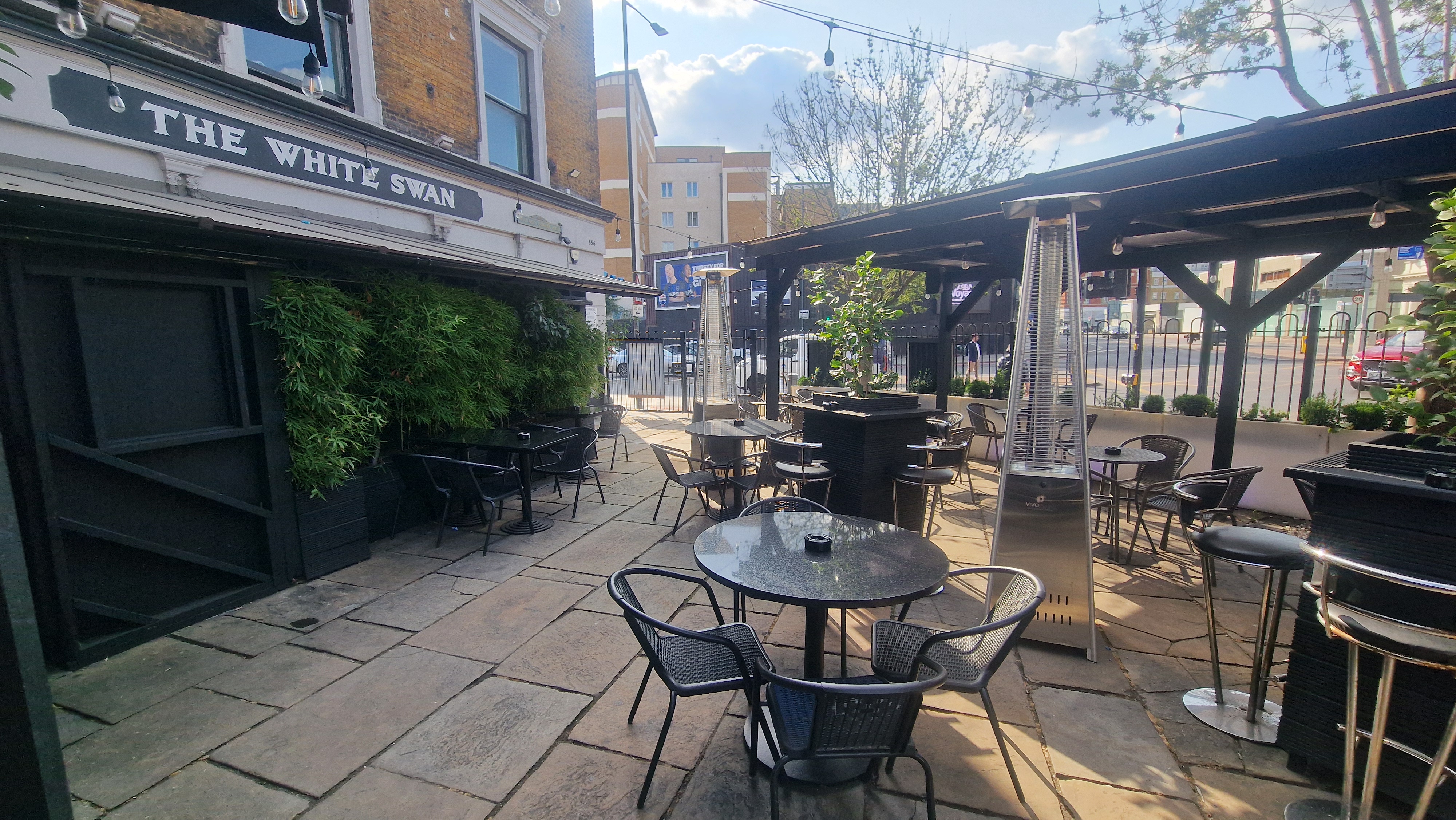 The White Swan - image 2