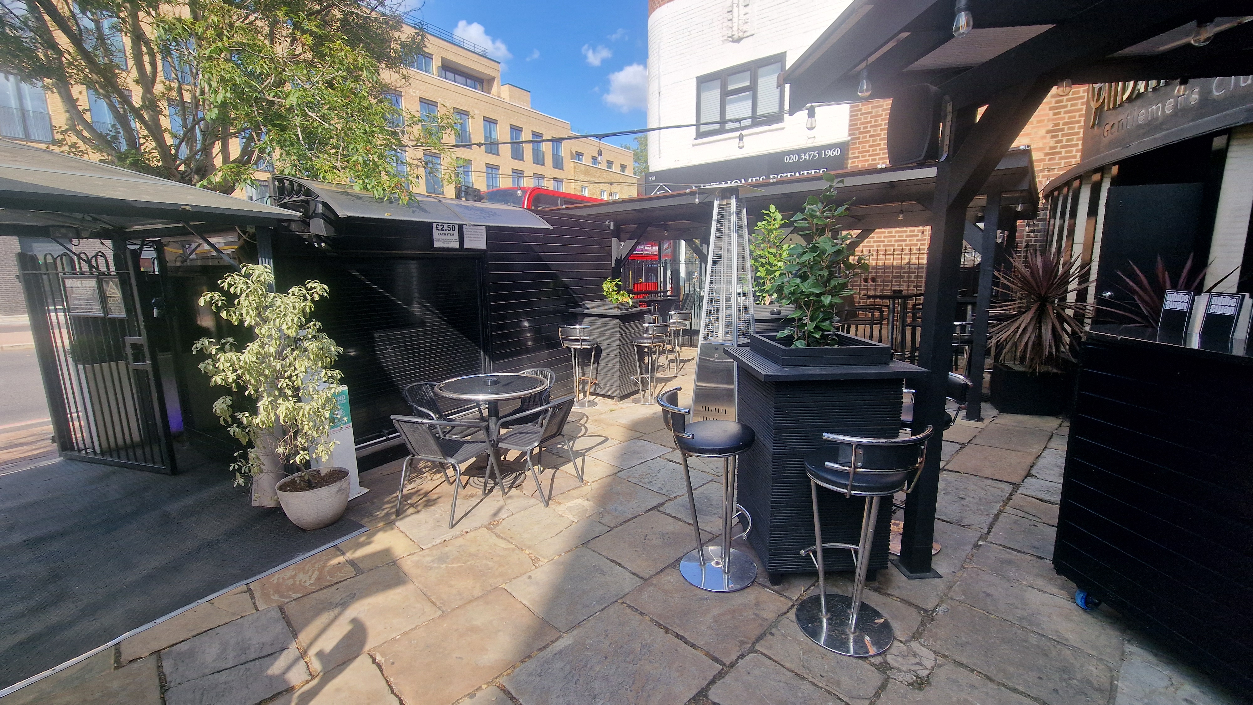 The White Swan - image 6