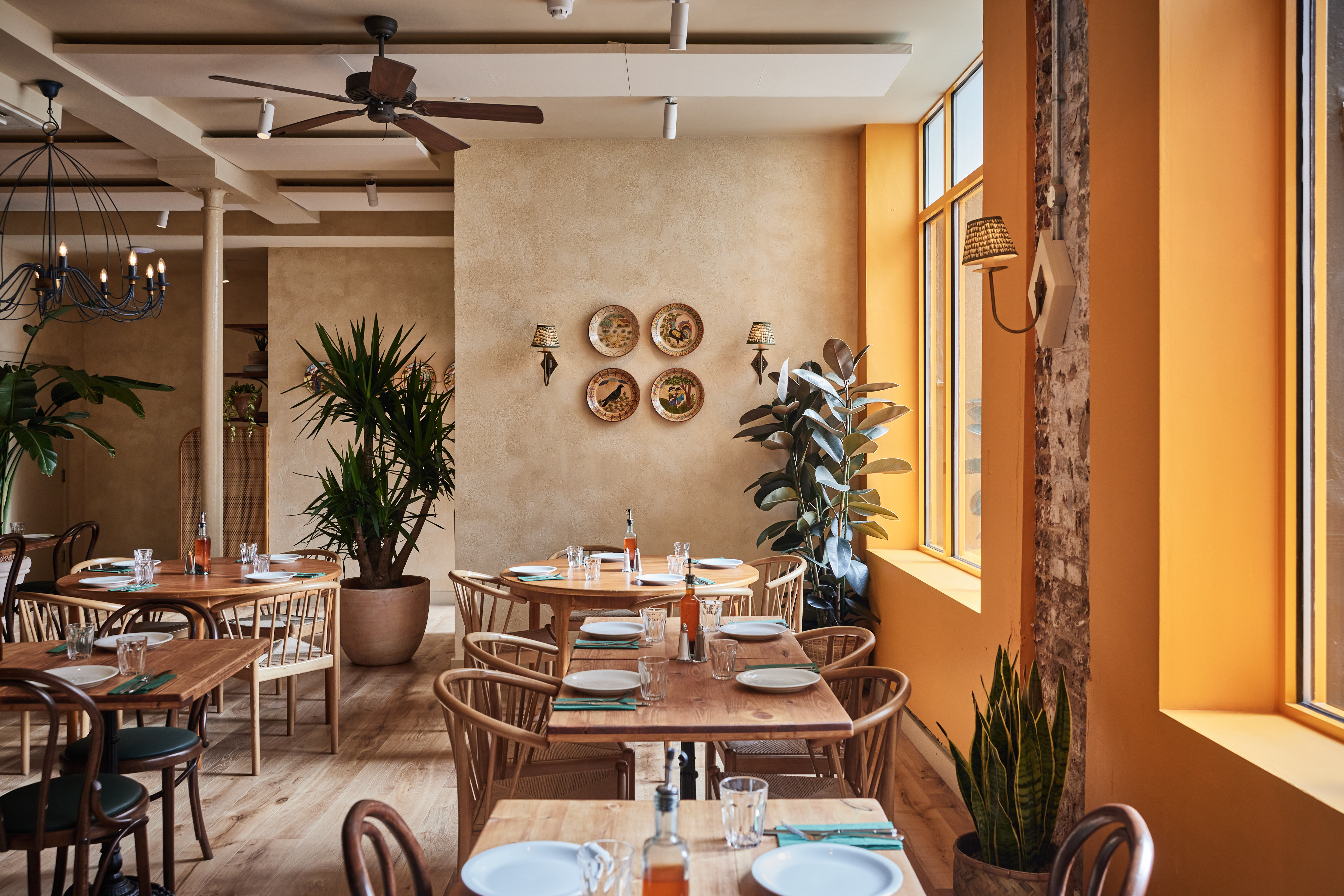 Casa do Frango - Mayfair - image 3