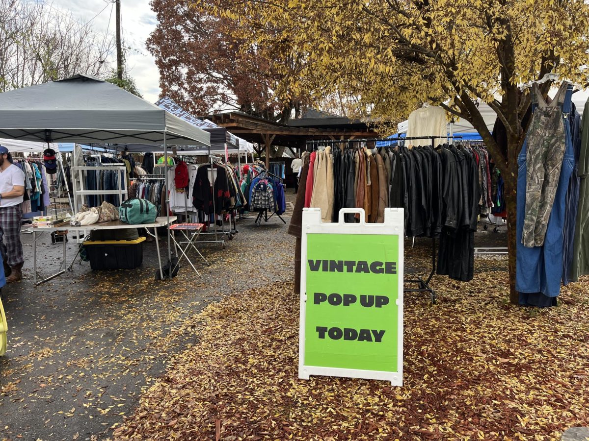 WOODSTOCK POPUP - image 4