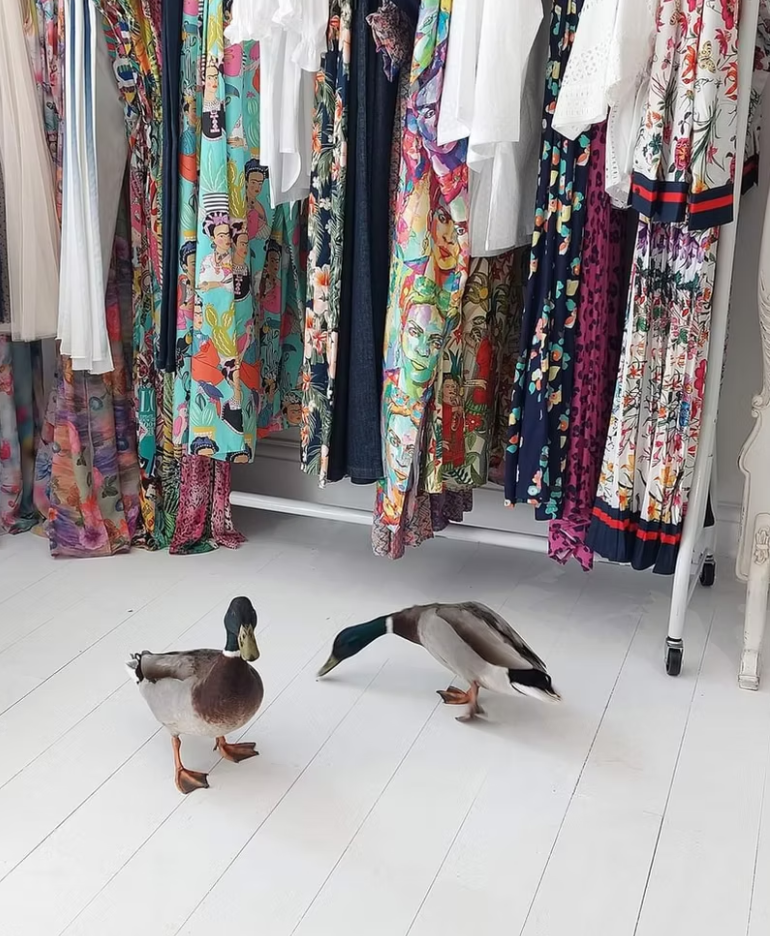 WOODSTOCK POPUP - image 7