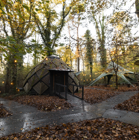 The Glade - image 3