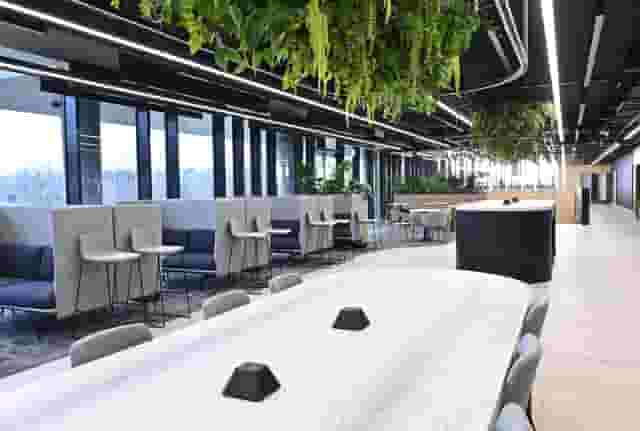 Meeting Rooms