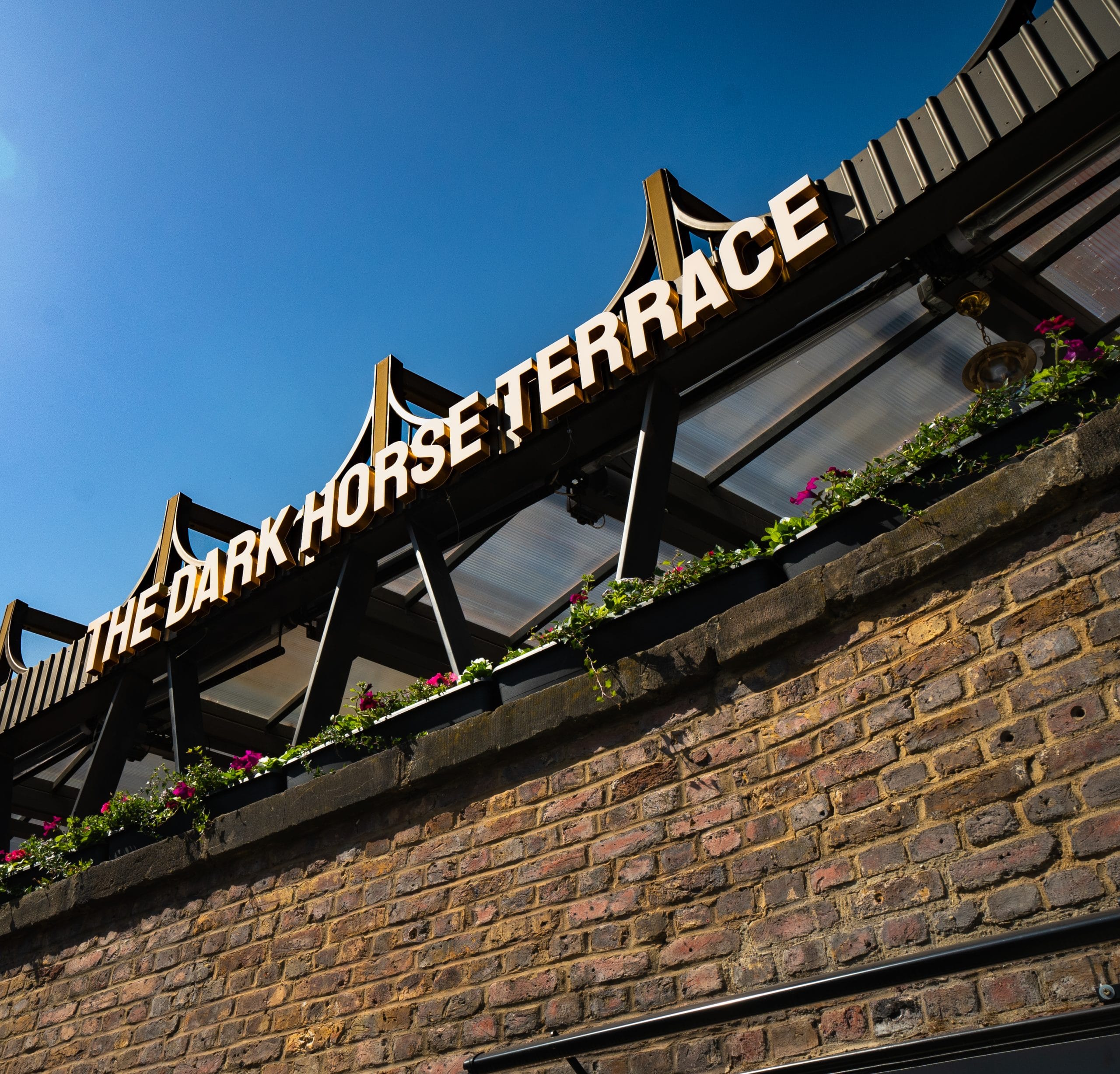 The Dark Horse - image 5