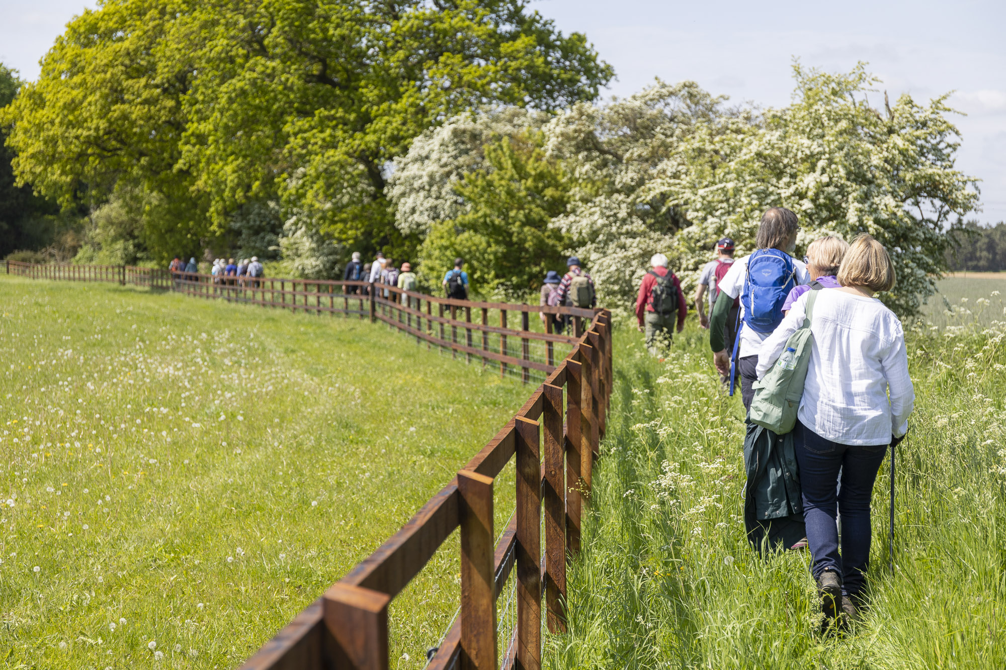 Trinity Park Events - image 2