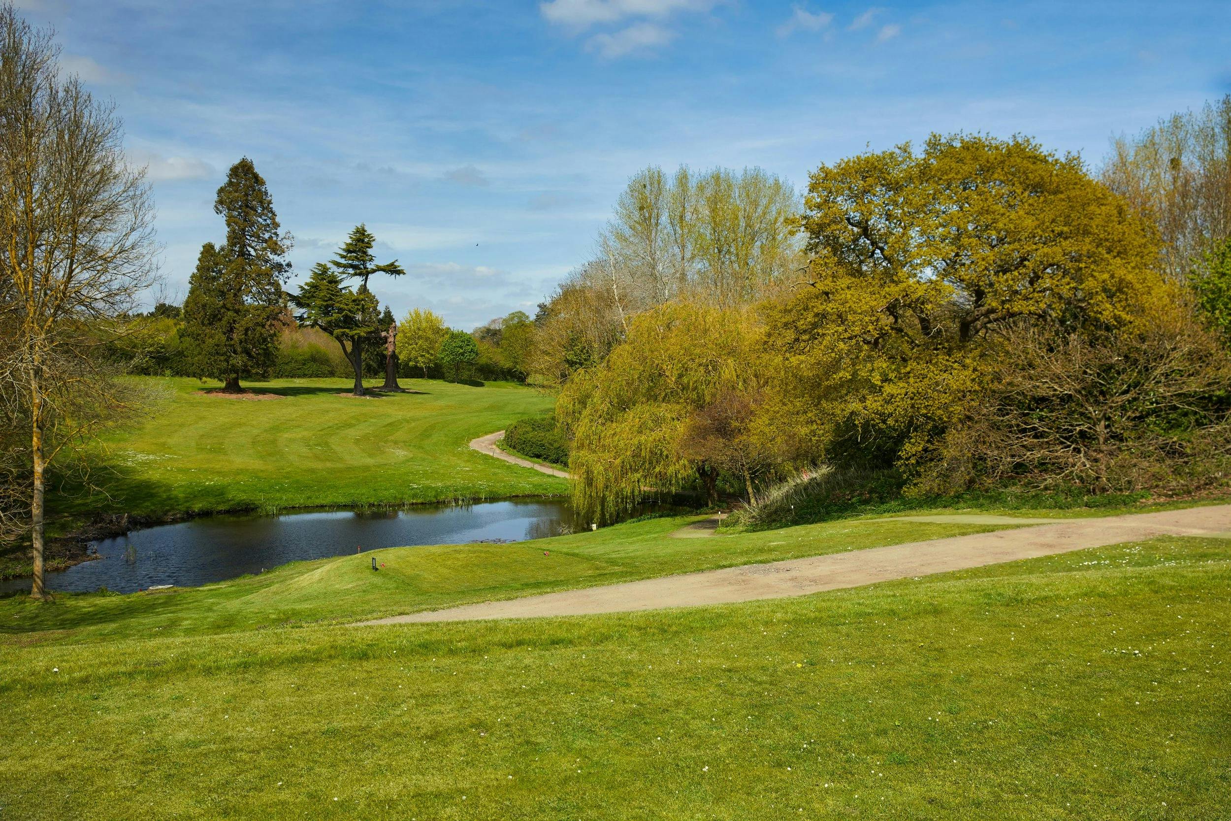 Trinity Park Events - image 4