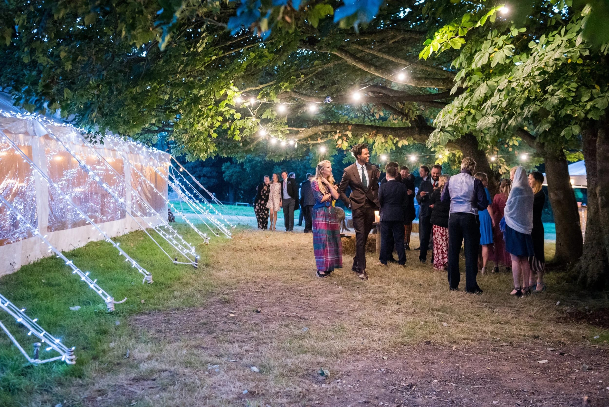 Dummer Down Farm - image 4