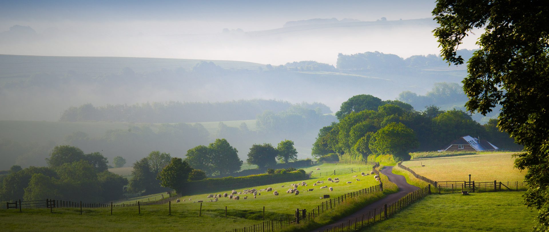 Chalke Valley Camping - image 3