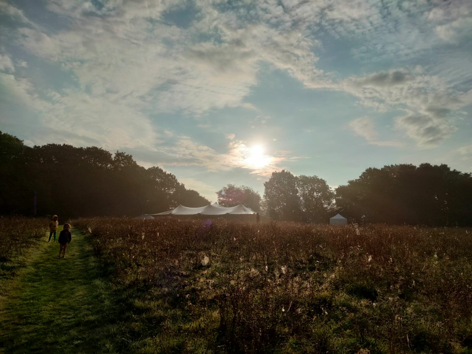 Rustic outdoor event venue in Sussex meadow for marquee weddings and festivals.