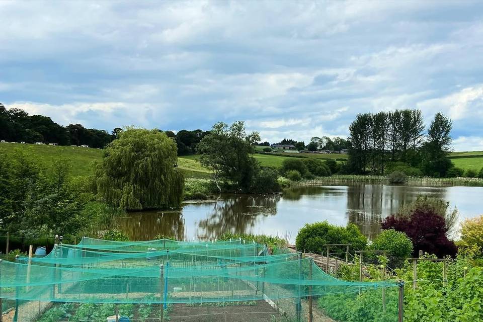 Noxon Farm - image 2