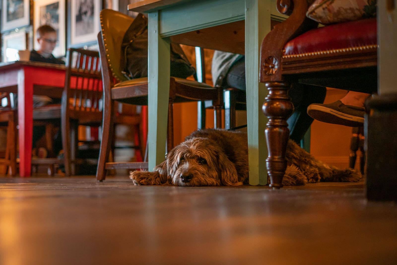 Stable Inn at The New Chichester Hotel: dog-friendly event space with informal seating.