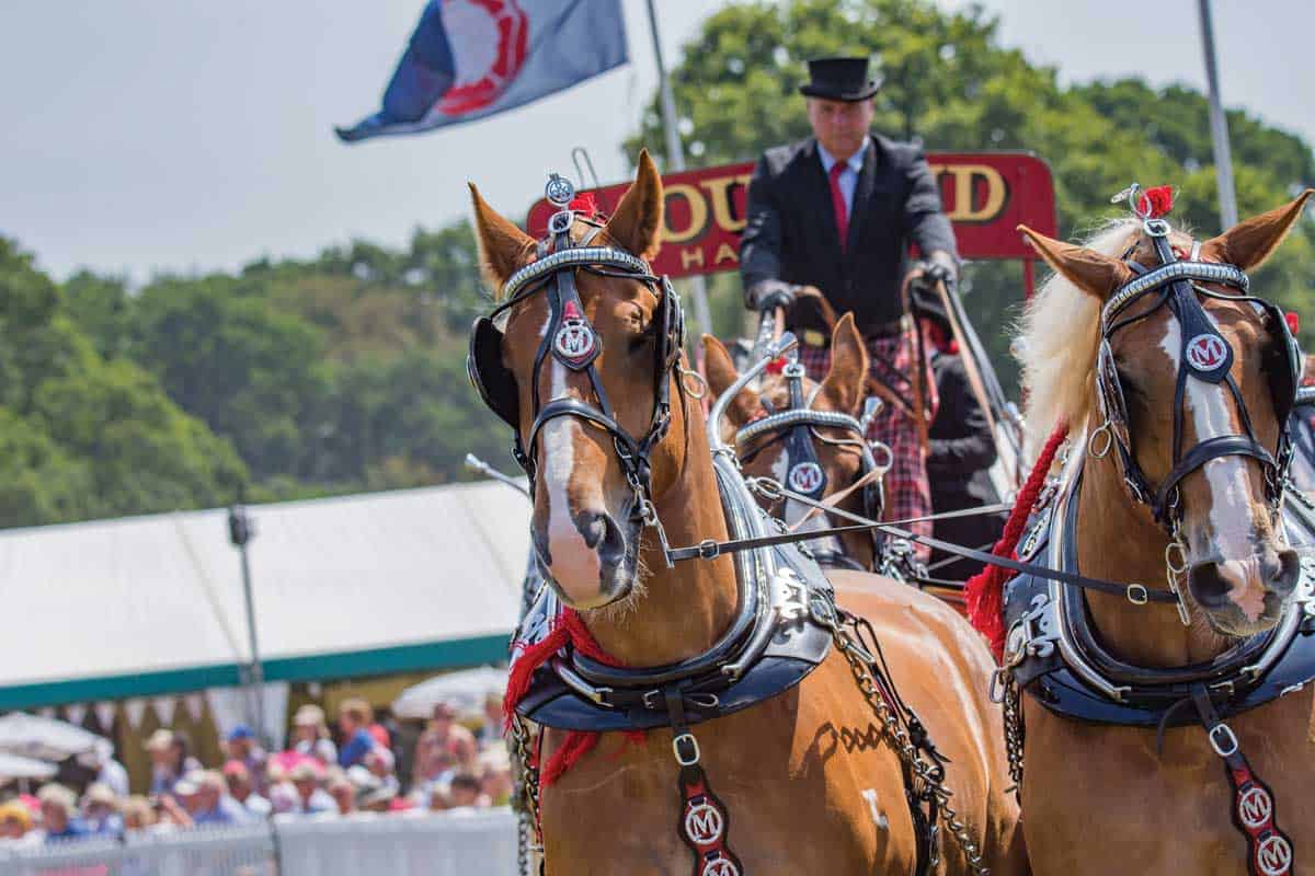 Bolesworth Showground - image 5