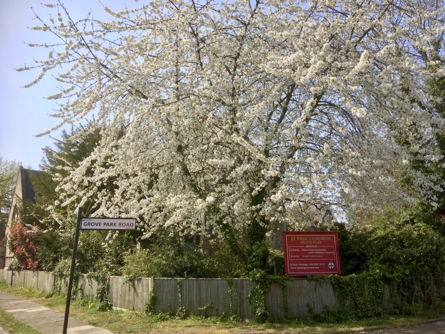 St Paul's Church - image 4