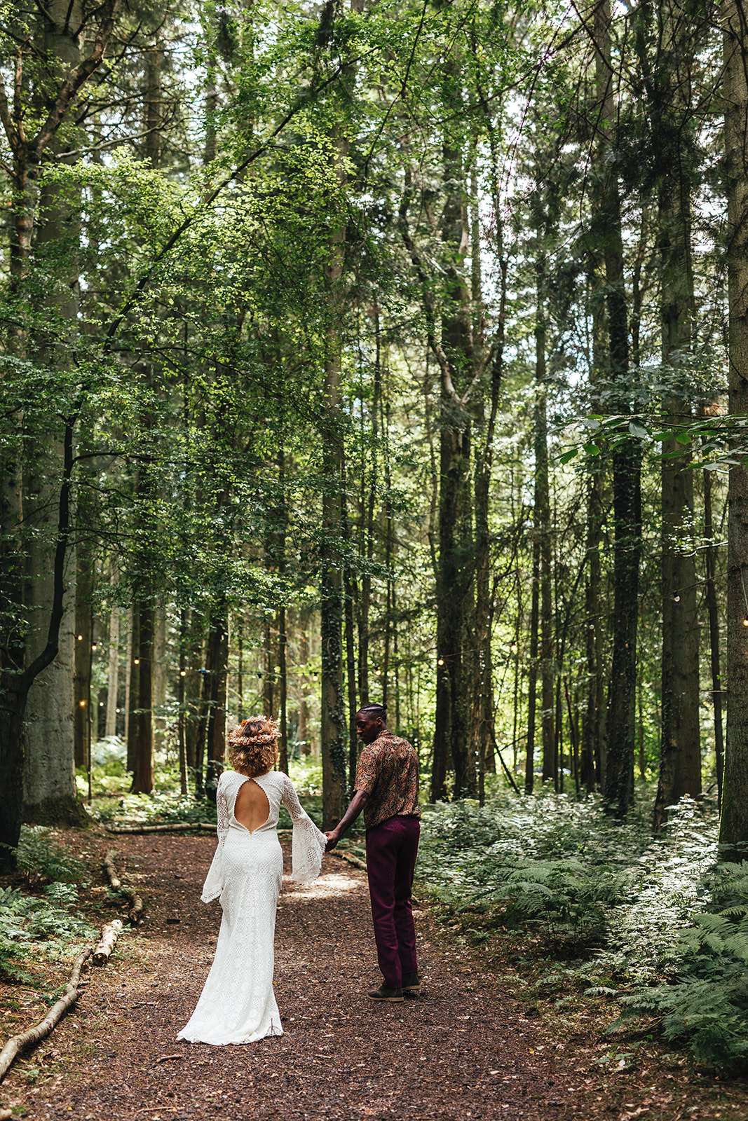 Longton Wood - image 7